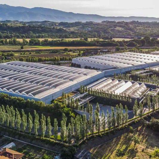 Prada Hub Logistico Levanella